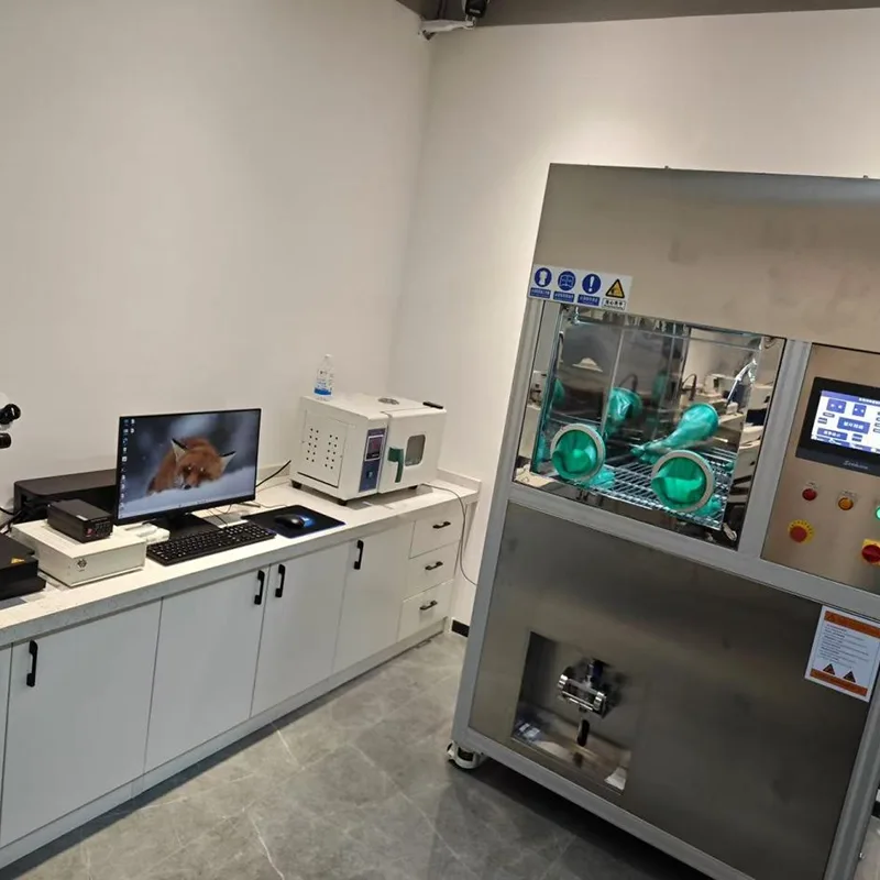 Cleanliness Detector for the Automotive Industry